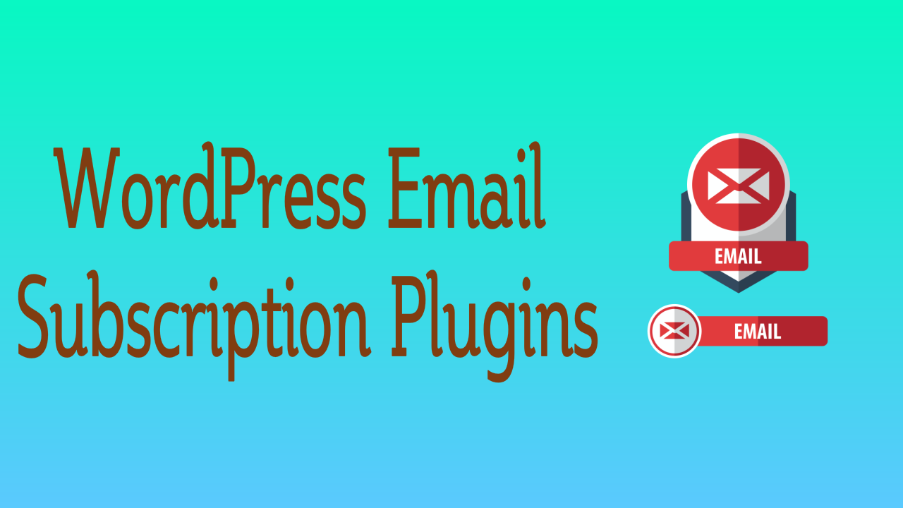 Email Subscription Plugins