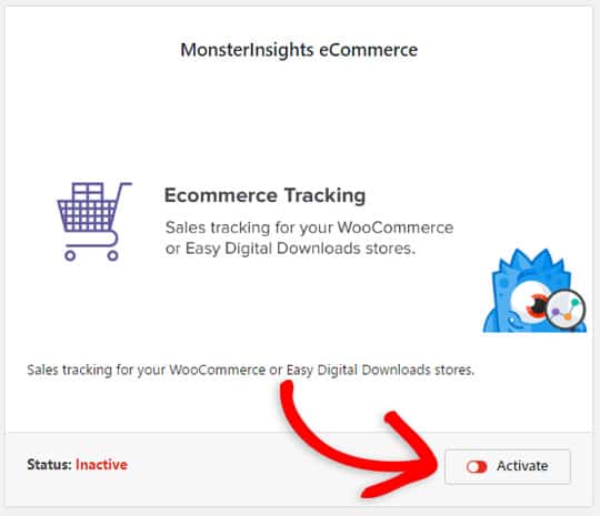 Activate monsterinsights ecommerce add-on