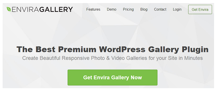 EnviraGallery-WordPress-Portfolio-Gallery-Plugin-HomePage.
