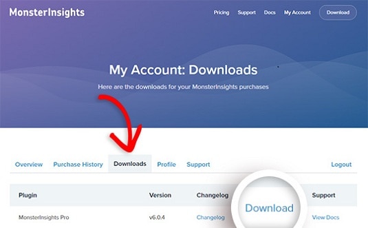 Monsterinsights Premium Plugin Download