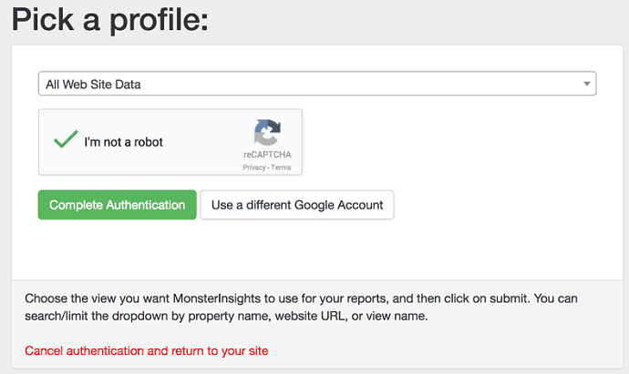 Select the right website profile to authenticate with MonsterInsights