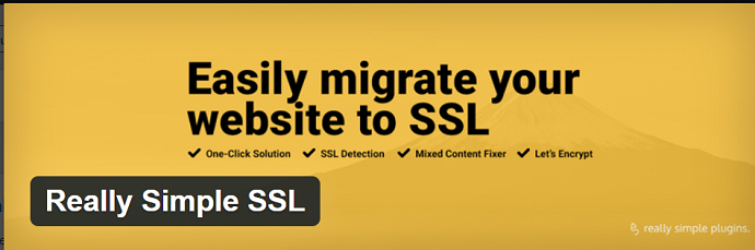 really simple SSL wordpress SEO plugin