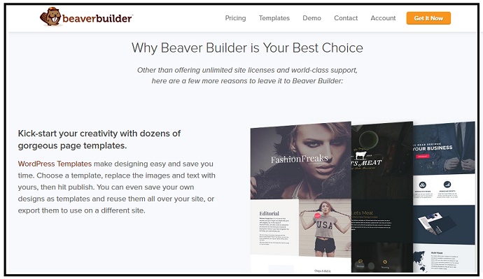 Beaver Builder-Web-Page-which-is-used-to-build-best-landing-pages