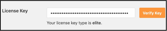 Your-License-type-is-displayed-below-license-key