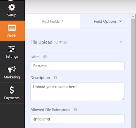 Customizing-File Upload-field-in-your-created-form