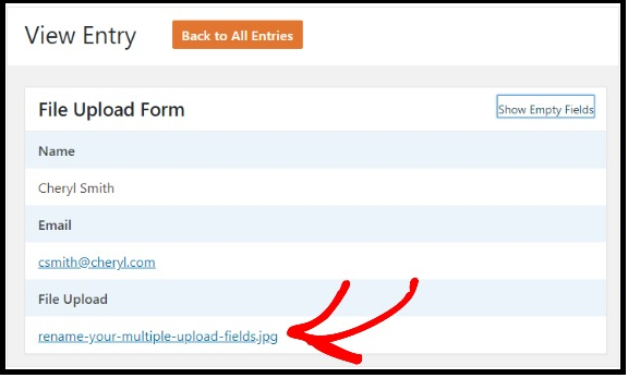 viewing-a-file-upload-entry-in-WPForms