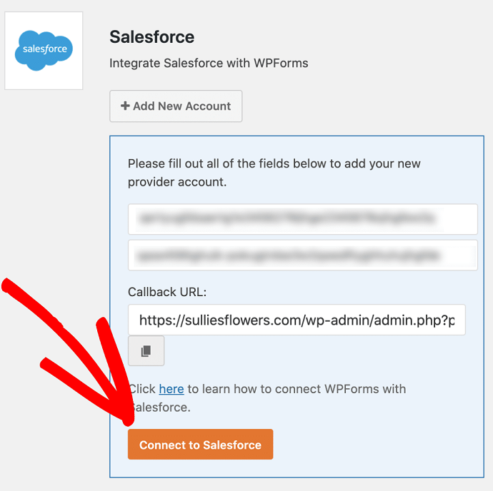 Connect-WPForms-to-Salesforce