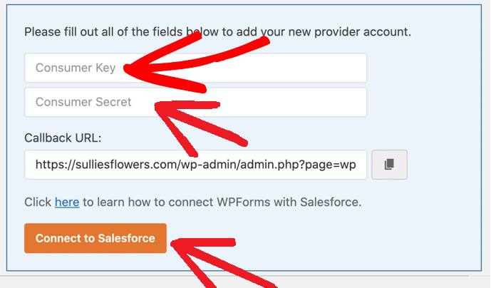WPForms-Settings-Enter-Consumer-Key-and-Customer-Secret-Fields-and-connecting-to-Salesforce
