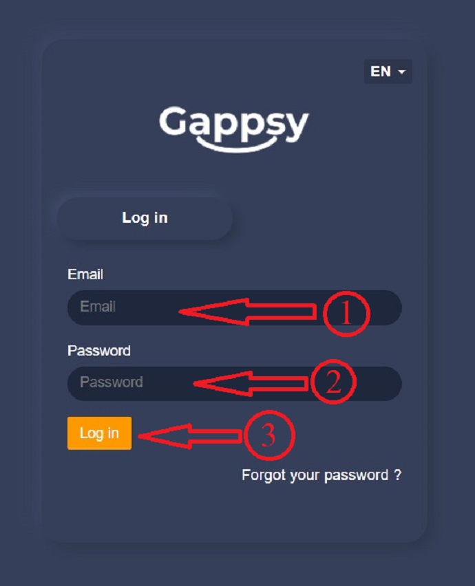 Step 2: Login to Gappsy using Email and Password