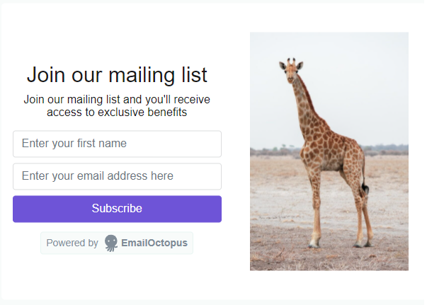 EmailOctopus Form template 2