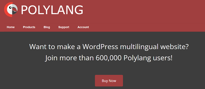 Polylang-Homepage